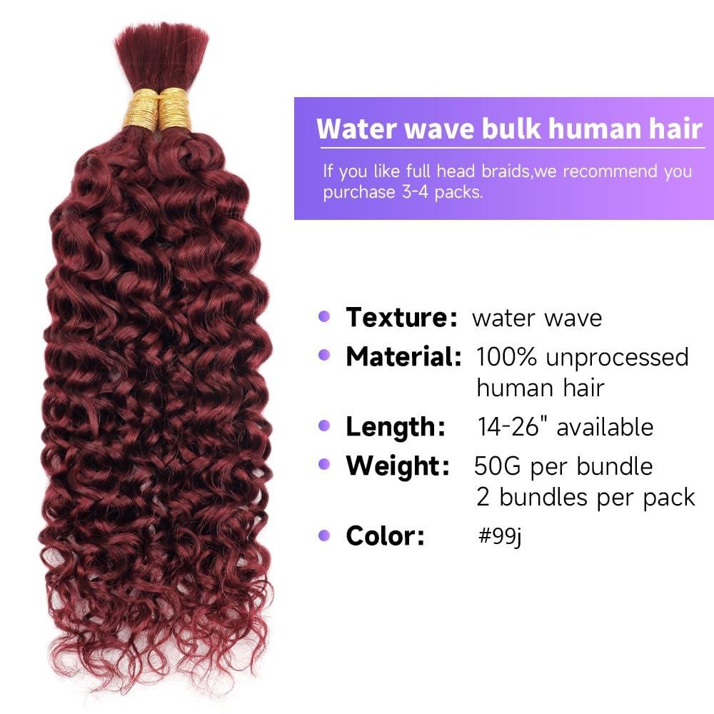 kloiynj Human Braiding Hair Water Wave Bulk Human Hair For Braiding 100g (1pack-2bundles) No Weft 100% Unprocessed Virgin Human Braiding Hair For Boho Braids Water Wave Micro Braiding Human Hair 16inch #99J