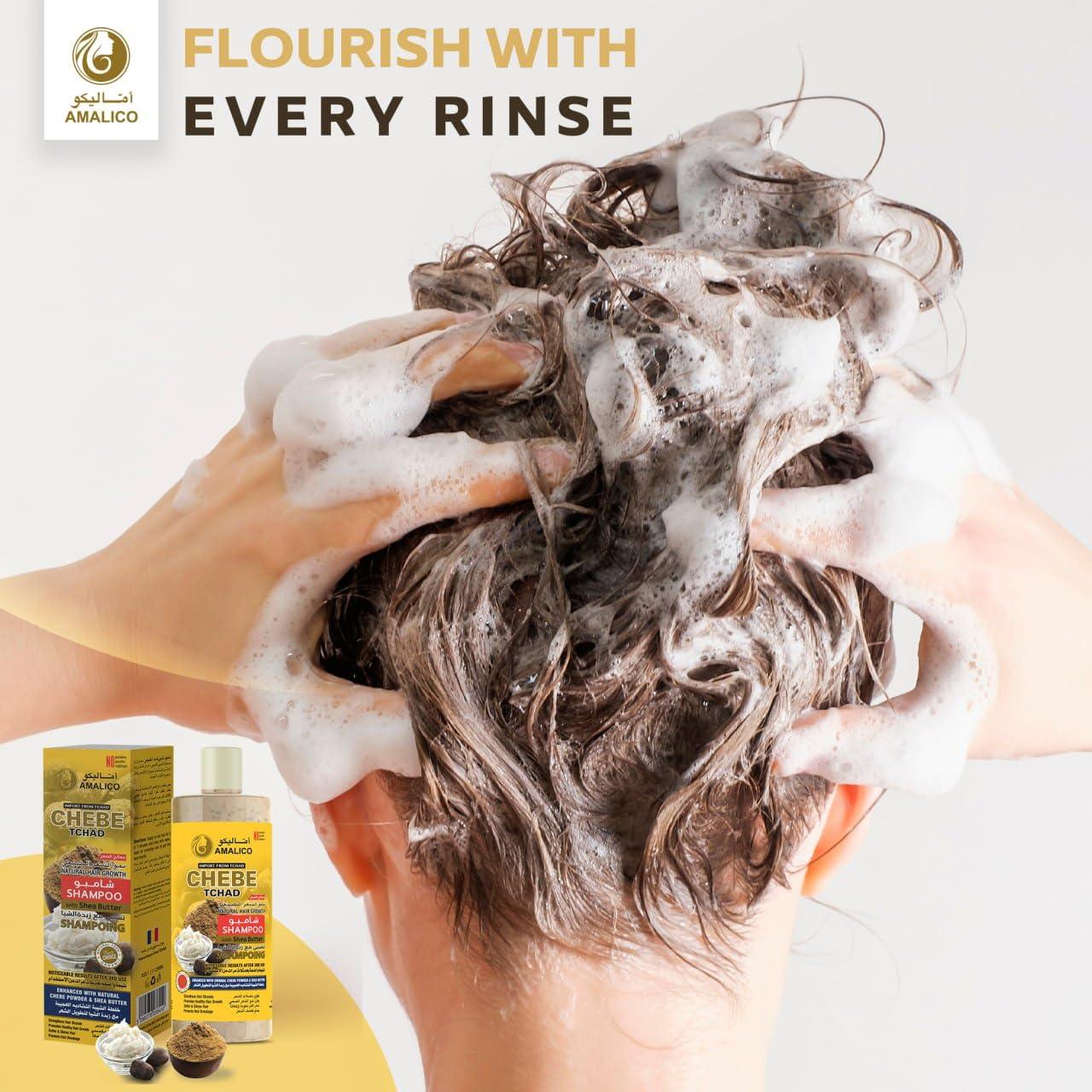 AMALICO Sulfate Free Shampoo with Chebe Powder and Shea Butter (16.9 OZ) Hair Shampoo for Hair Growth and Anti-dandruff Shampoo