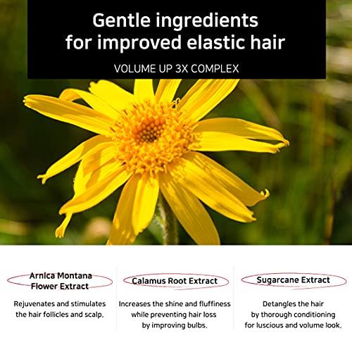 APLB APLB Booster Clinic Shampoo 16.91fl.oz. / Botanical Extracts and Oil for True Beauty of Korean Shampoo, Natural Source Ingredients of Baobab Seed and Rosemary Leaf oils