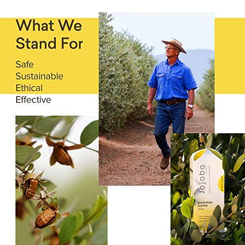 THE JOJOBA COMPANY BEAUTY IS IN OUR NATURE Jojoba Ultimate Night Cream - Visibly Reduces Wrinkles - Enhances Skin Regeneration - Improves Skin Texture - 50ml