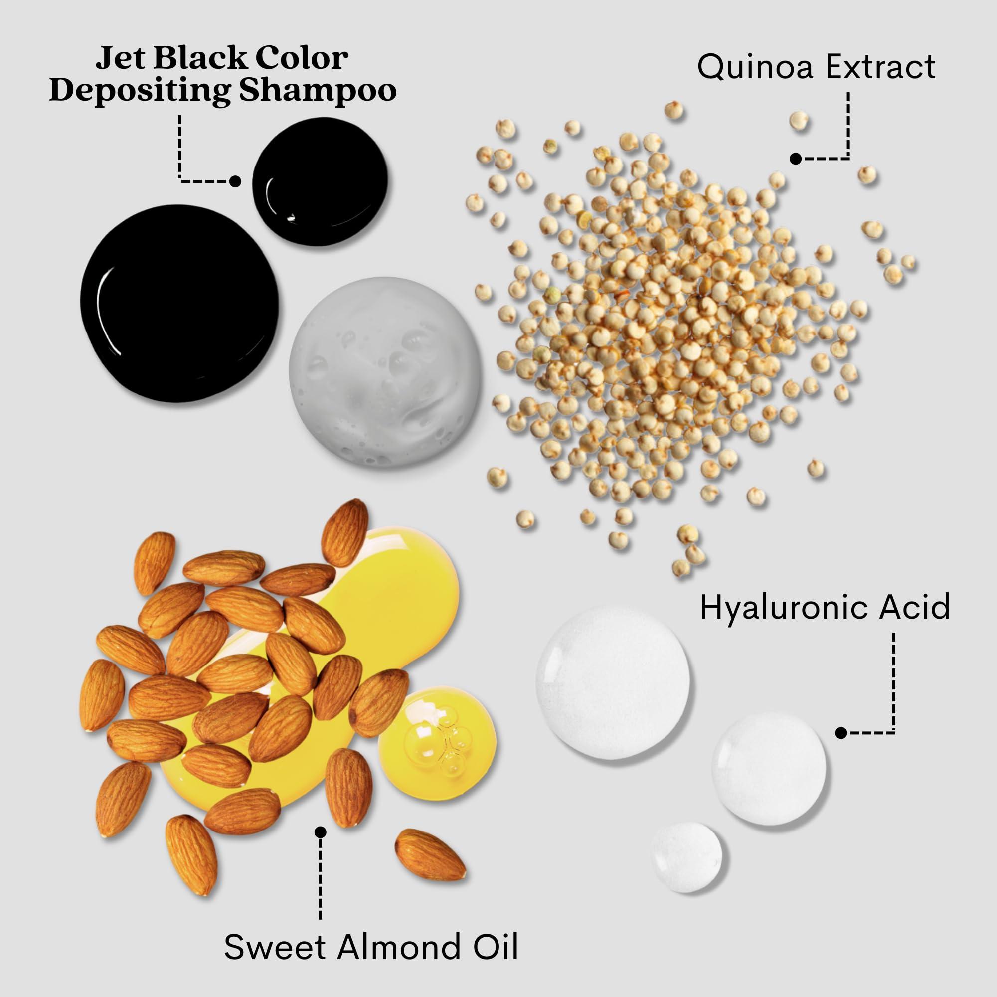 Pallure Pallure Jet Black Color Depositing Shampoo, 250 ml