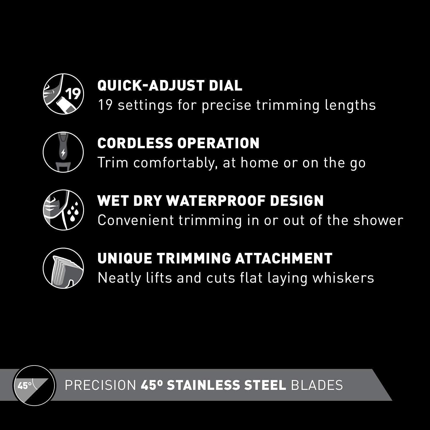 Panasonic Panasonic ER-GB42 Wet/Dry Beard Trimmer, Gray