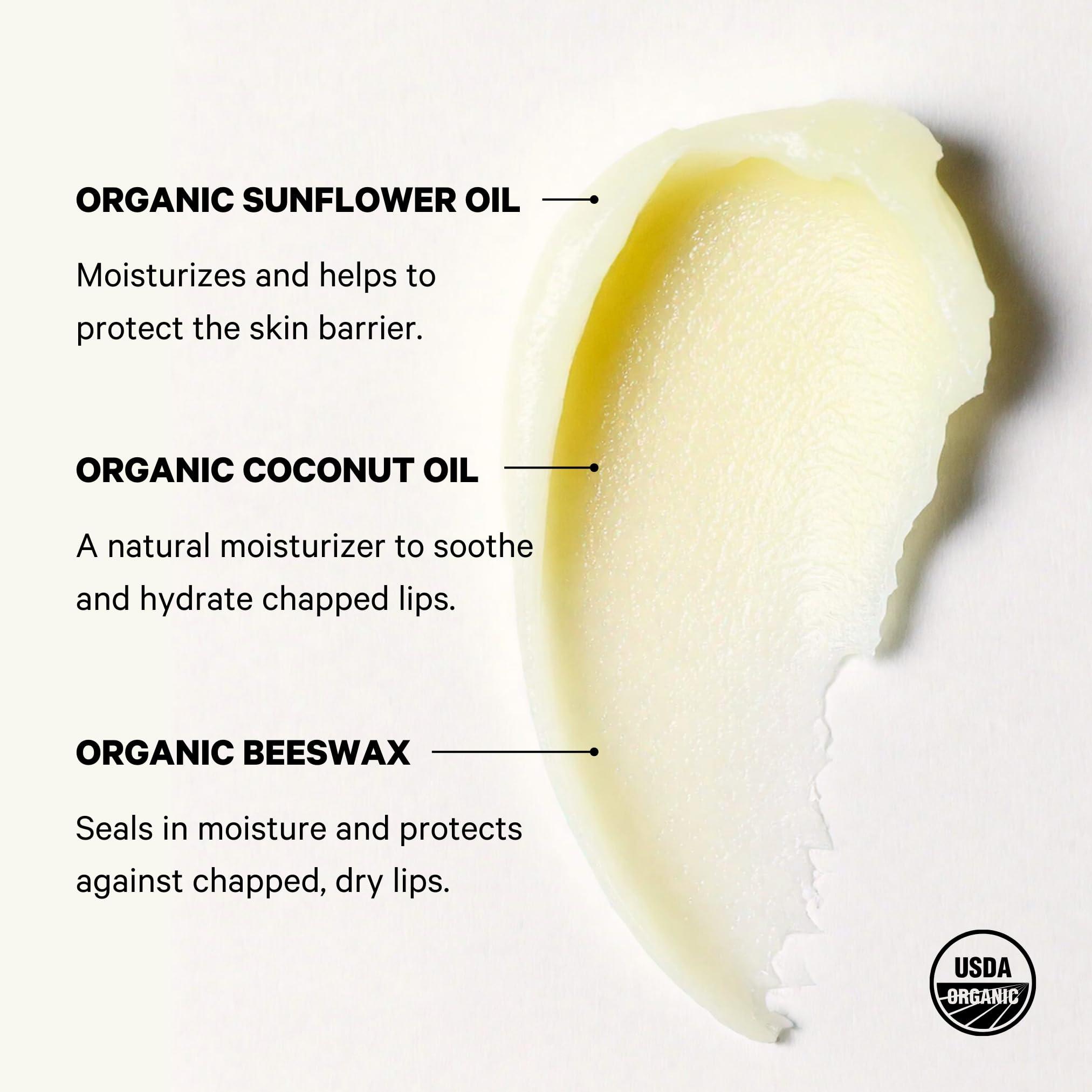 Space Camp Space Camp Wellness Jumbo Lip Balm - Frosted Mint Organic Flavored Balm (2 Pack)