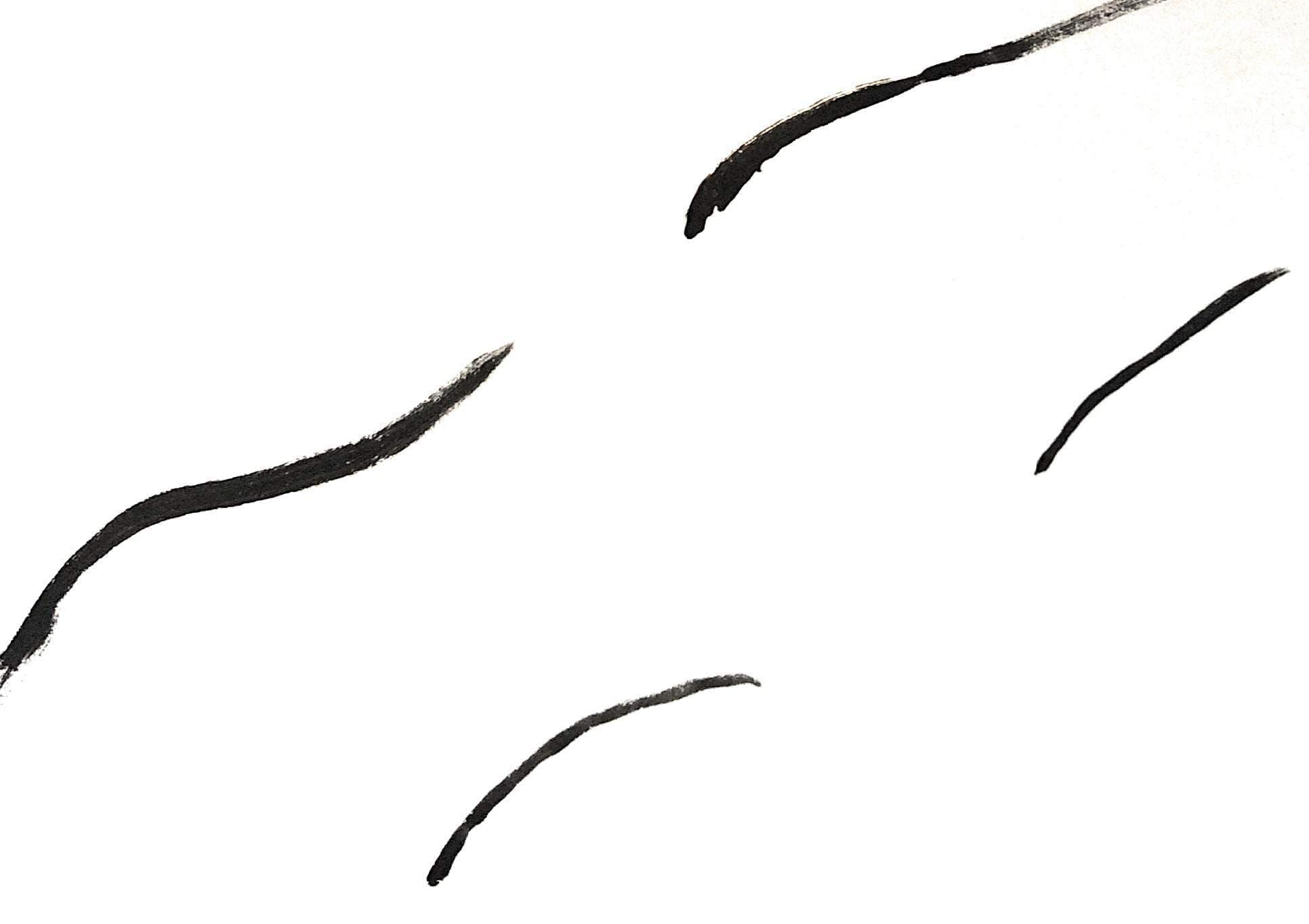 Beauty Kat Von D Tattoo Liner Trooper 0.55 ml/0.019 oz