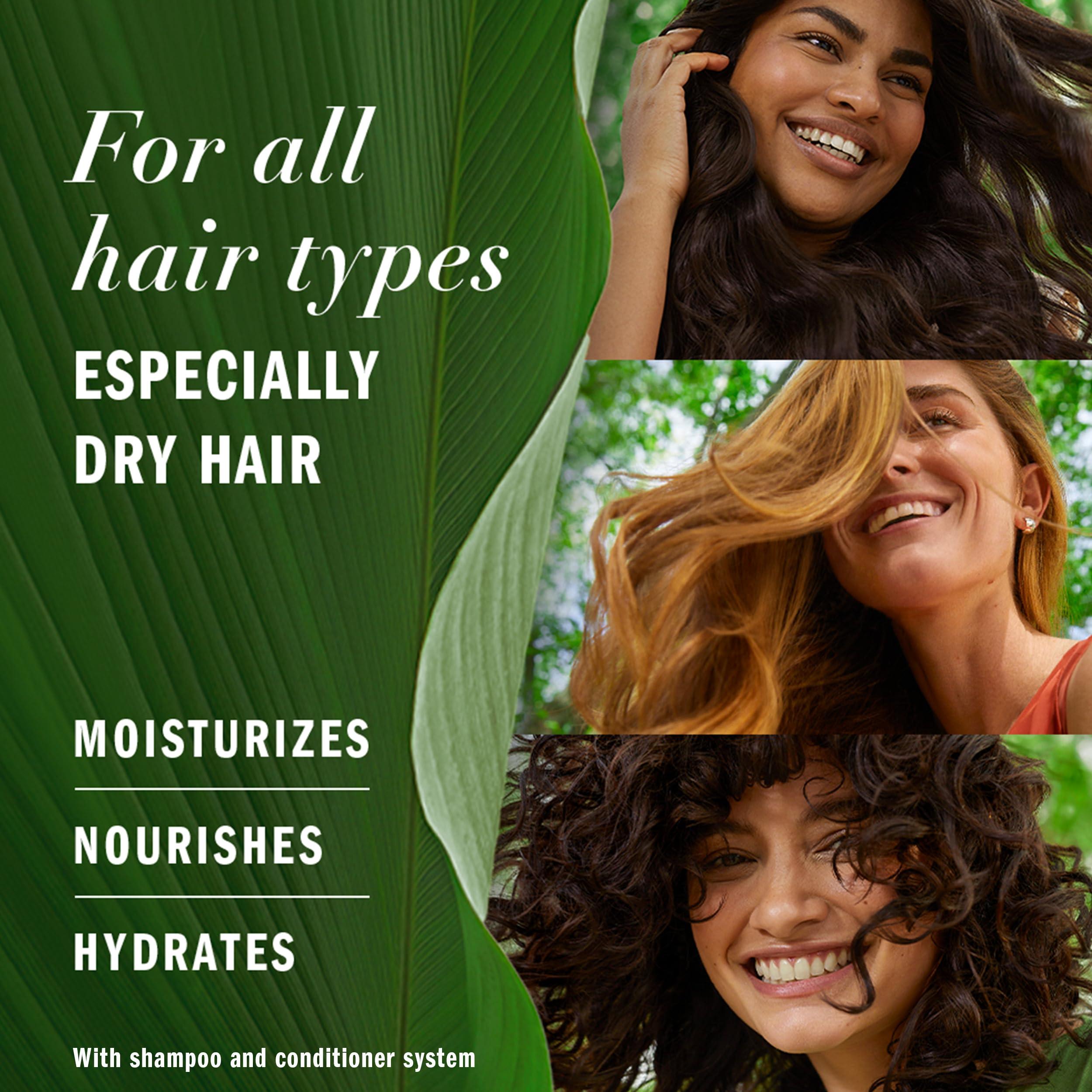 Herbal Essences Herbal Essences Shampoo, 13.5 Fl Oz, Honey Daily Moisture, Sulfate Free, Nourishes, with Certified Camellia Oil and Aloe Vera, For All Hair Types, Especially Dry Hair