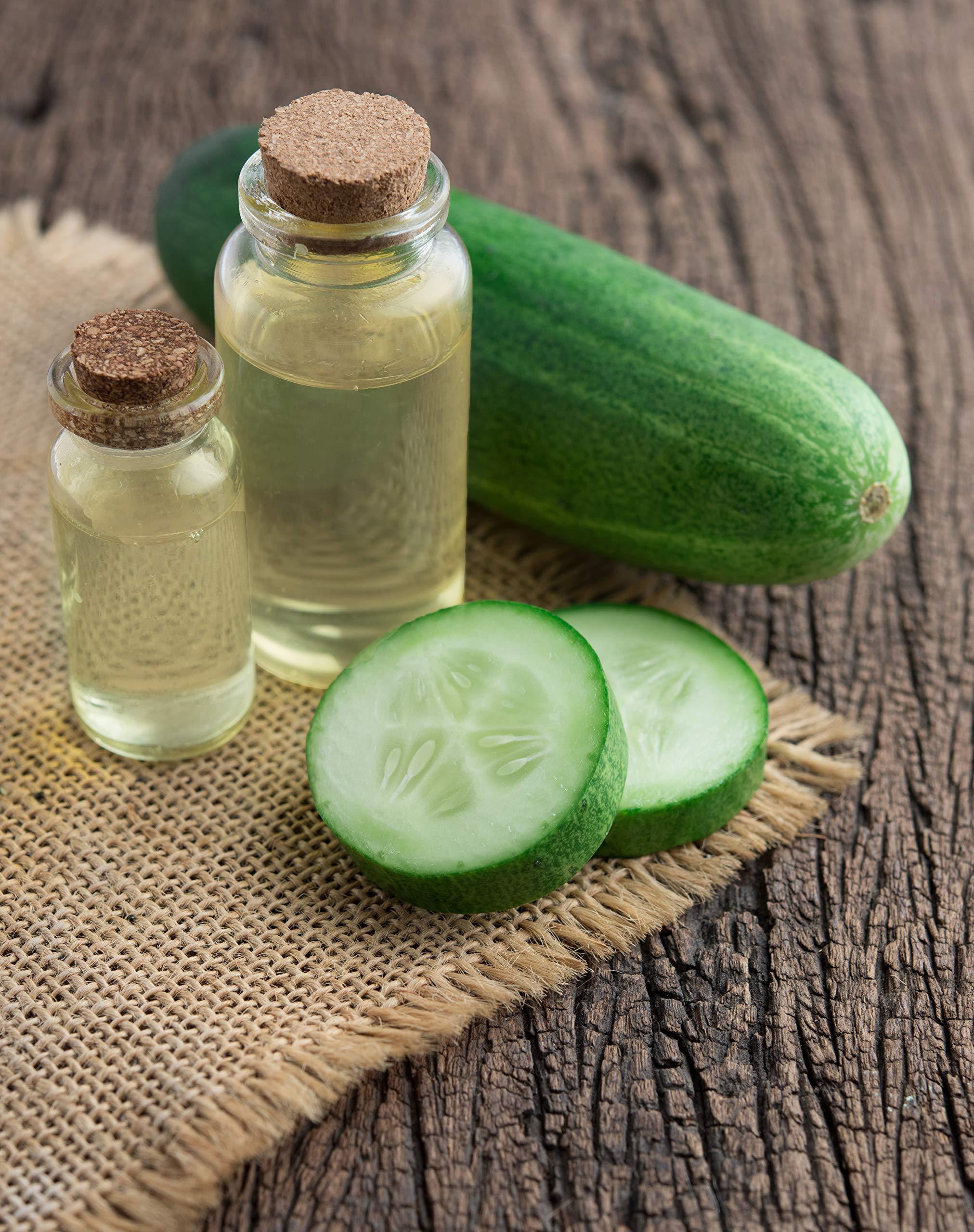 OPO OPO Cucumber Seed Oil - 8 oz - Pure, Unrefined, Cold Pressed, Non-GMO, Hexane-Free, Vegan Carrier Oil for Skin, Hair, Nails, Body, Face & More - Hydrating, Nourishing, Skin Rejuvenating