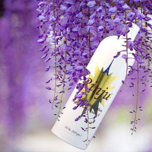 Rinju Rinju Body & Hand Lotion - Case of 6 Non-Greasy Lotion for Women & Men - 16 oz Cacao Butter Lotion for Extremely Dry Skin - Vitamin E Moisturizer - Soothes & Softens Skin