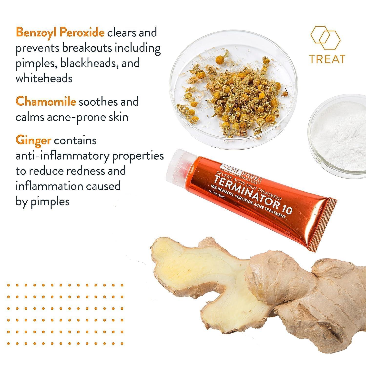 AcneFree AcneFree Terminator 10 Acne Spot Treatment with Benzoyl Peroxide 10% Maximum Strength Acne Cream Treatment, 1 Ounce - Pack Of 1