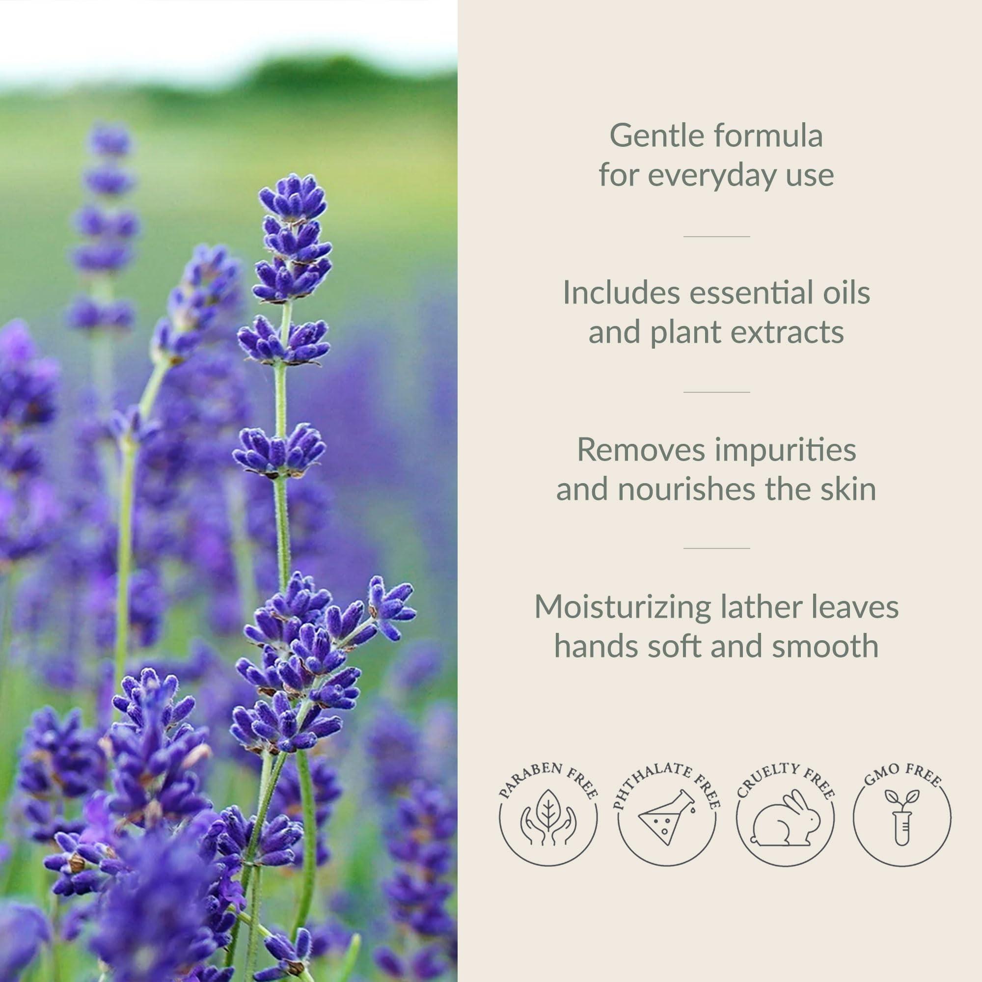 Archipelago Botanicals Archipelago Botanicals Lavender Hand Wash Refill, Liquid Hand Soap Refill, Fragrances with Lavender, Bergamot and Citrus, 33 fl oz