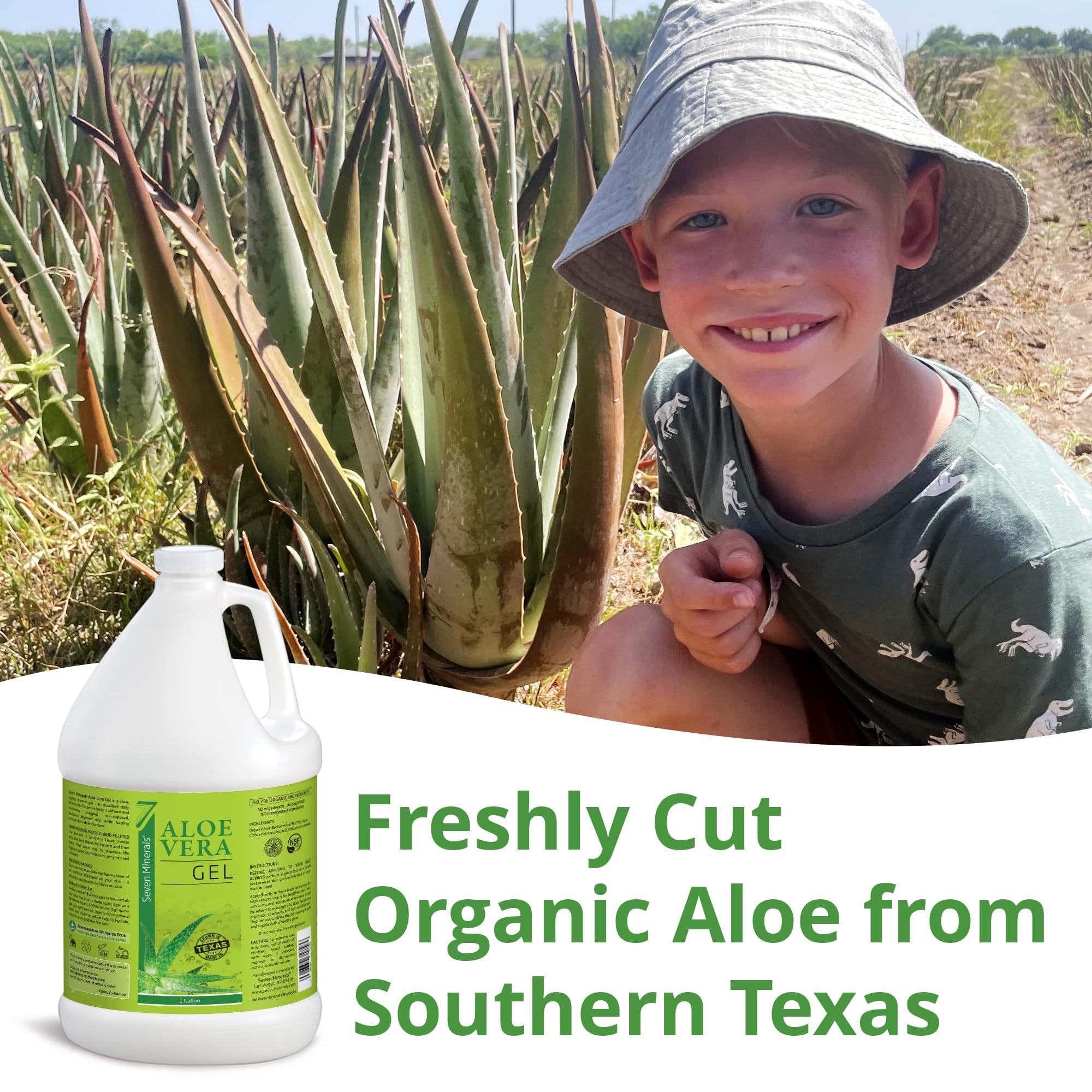 Seven Minerals Organic Aloe Vera Gel from freshly cut 100% Pure Aloe - 1 Gallon - HighestQuality, Texas grown, Vegan, Unscented - For Face, Skin, Hair, Sunburn relief - Bulk DIY (128 Fl Oz)