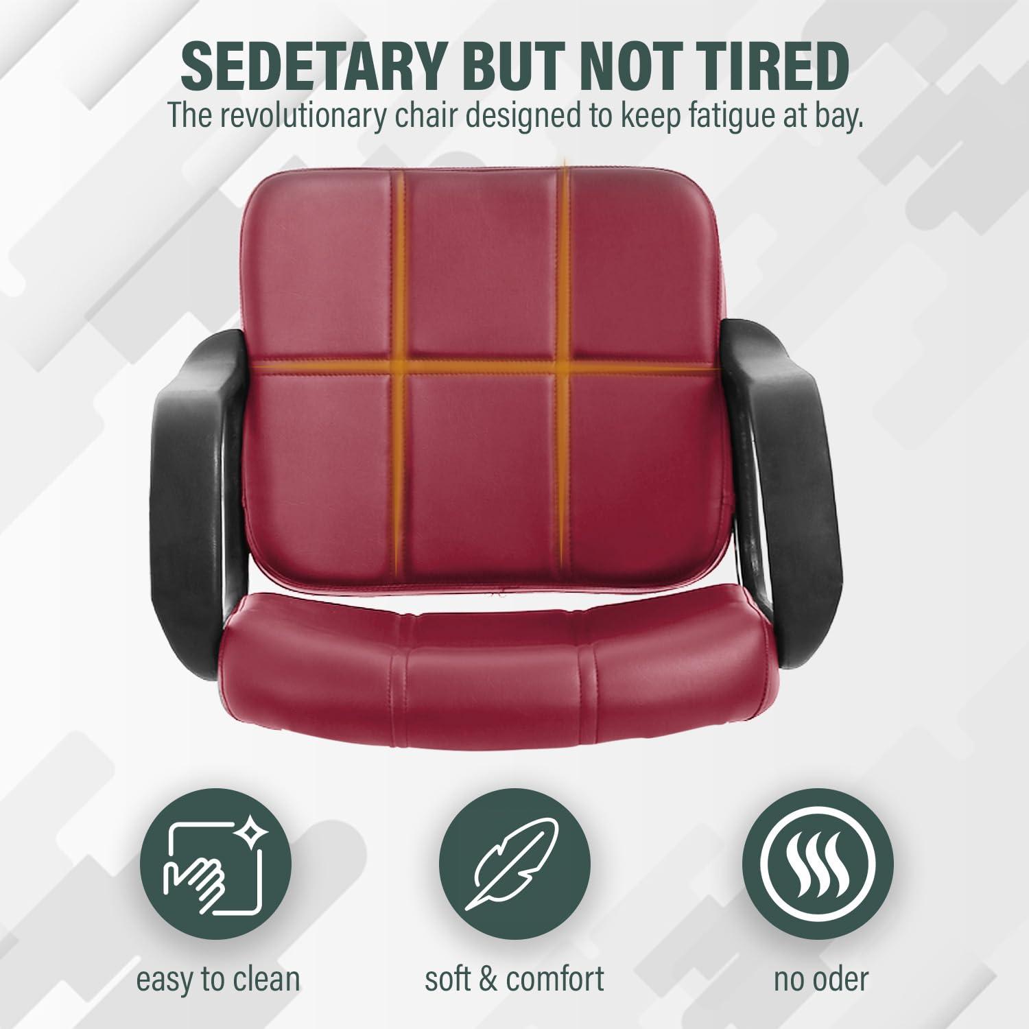 Ruesleag Salon Chair Barber Chair Hair Styling Chair Heavy Duty Hydraulic Swivel Hair Modern Fashion Shampoo Styling Hair Cutting Chairs Spa Beauty Salon Equipment Chairs for Men Women Adults,Burgundy