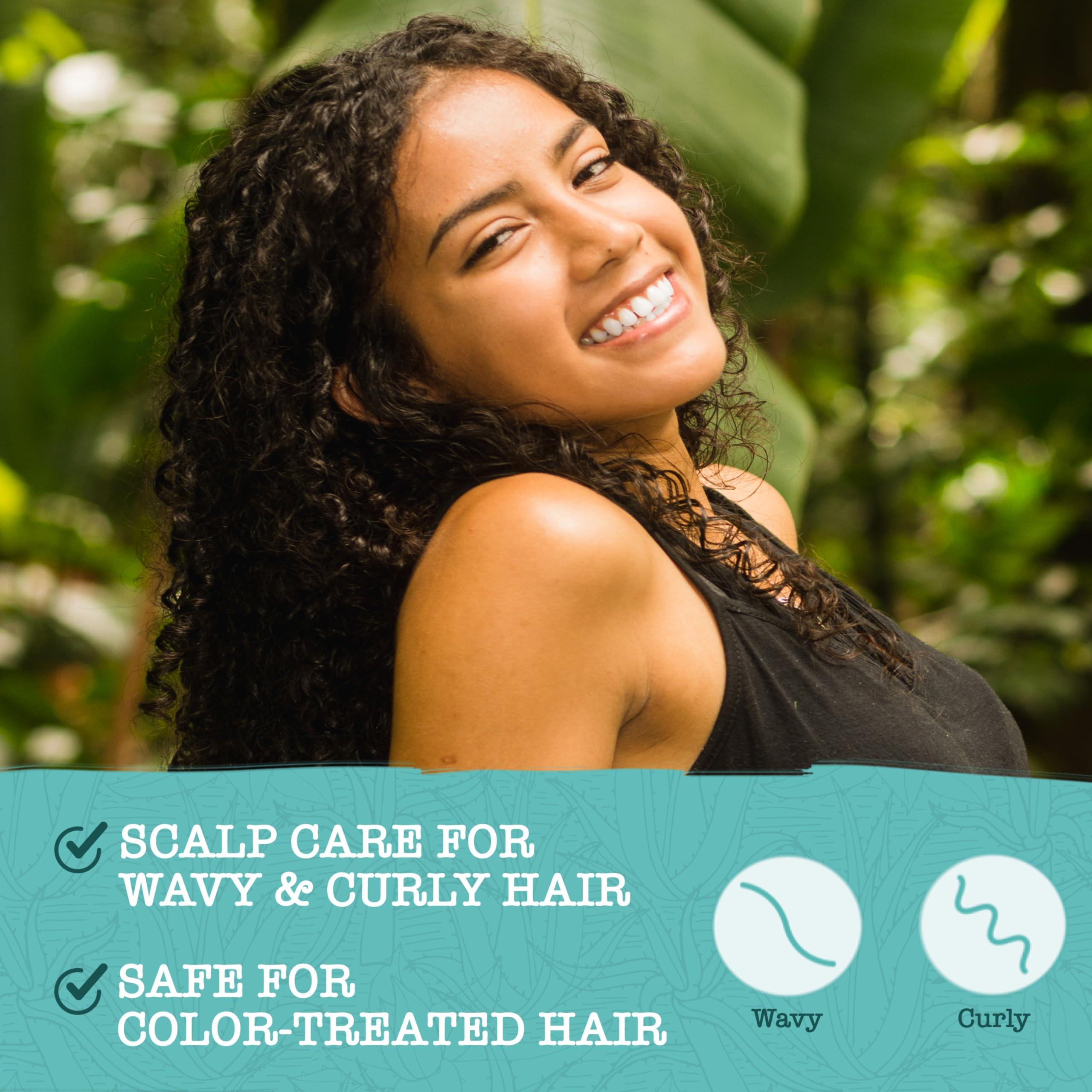 Maui Moisture Maui Moisture Scalp Care Clarifying Shampoo, Apple Cider Vinegar Curly Hair Shampoo Moisturizes & Removes Scalp Build-Up, Sulfate-Free Surfactants, 13 fl. oz