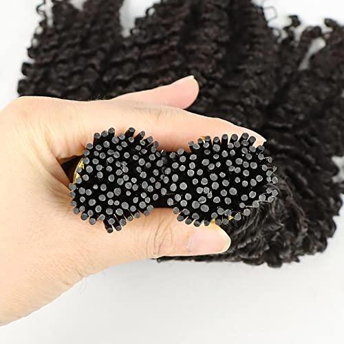 HAPPY&CC HAPPY&CC 4B 4C Afro Kinky Curly I Tip Hair Extensions Brazilian Virgin Human Hair 1g strand 100g Easy Stick I Tip Hair (16inch)