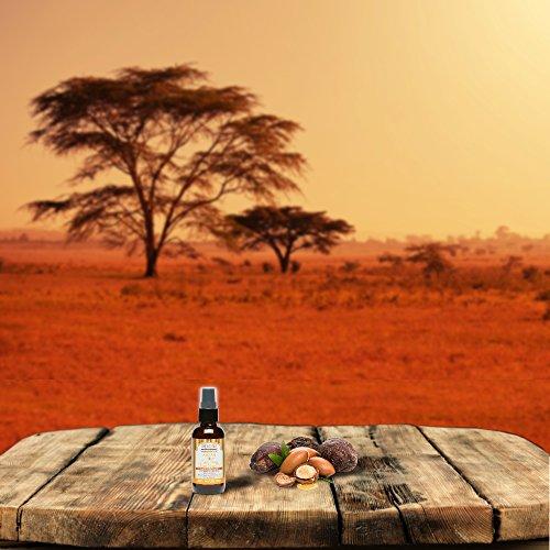 Shea Terra Organics Shea Terra Moroccan Argan Cold-Pressed Extra Virgin Oil | Nutrient-Rich, All Natural & Organic Oil with Anti-Aging Vitamin A and E to Increase Skin Elasticity and Condition Dry & Damaged Hair – 4 oz