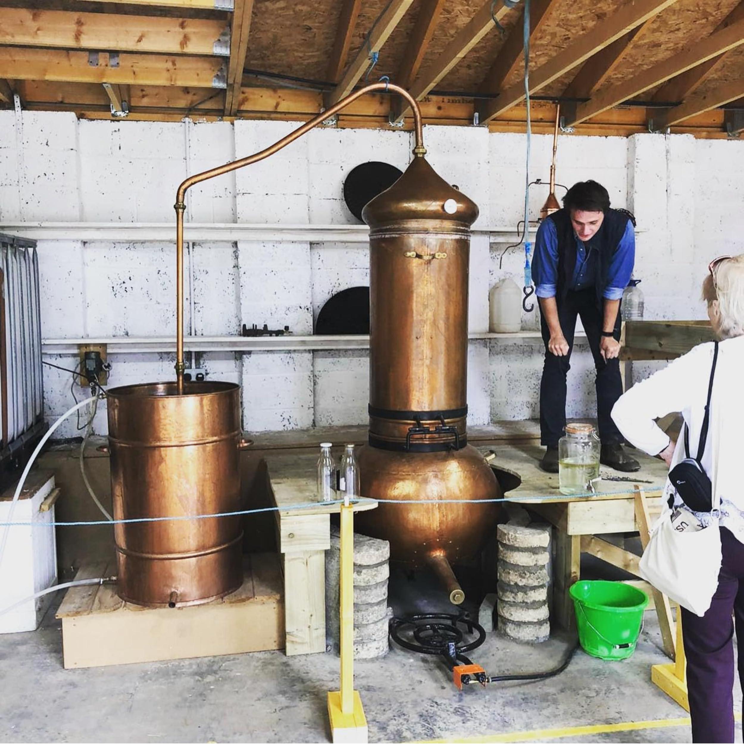 HIGHLAND SOAP CO The Highland Soap Company, Handmade Scottish Organic Vegetable Oil Glycerin Soap Bar, Hebridean Seaweed, 5.3oz (Pack of 2)