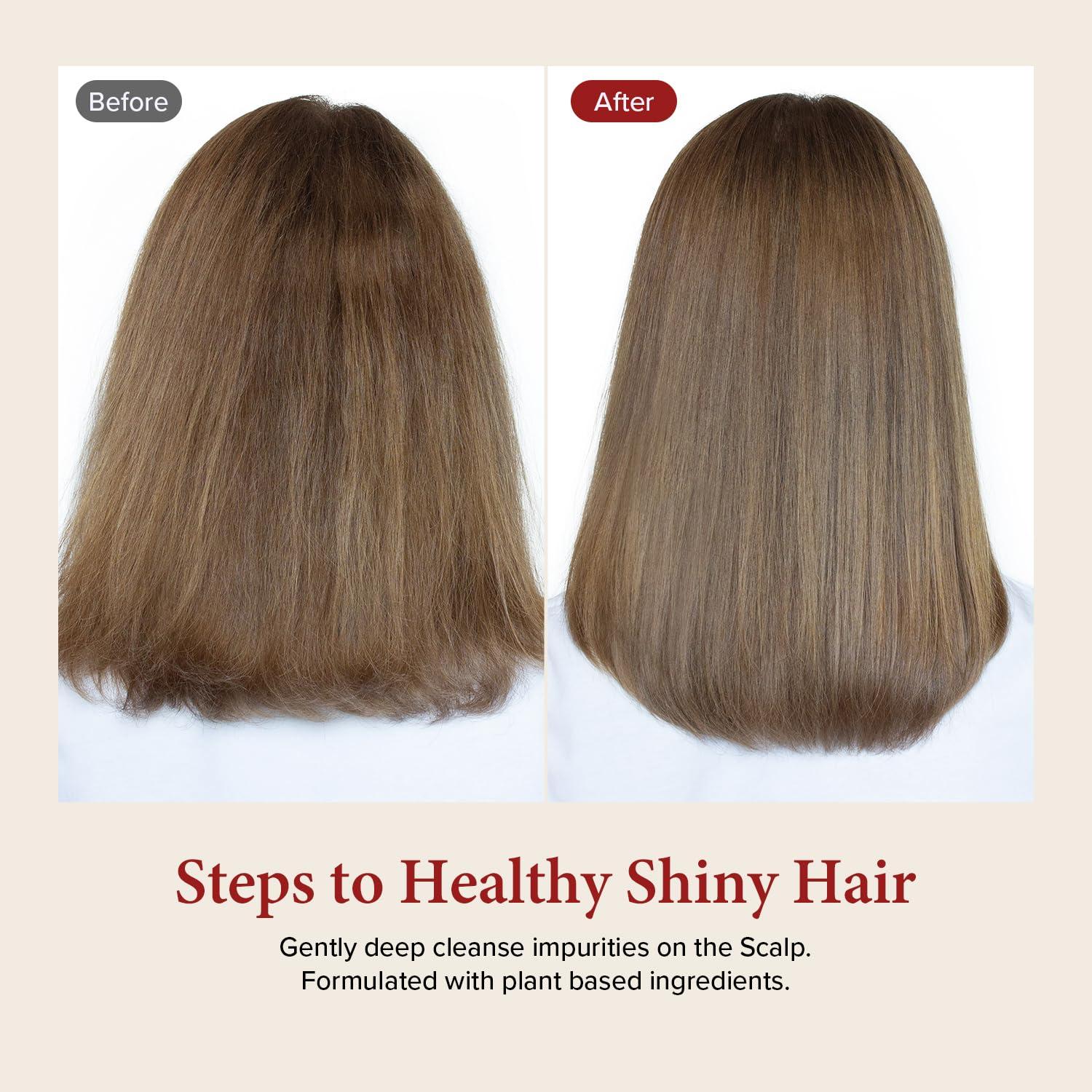 Kundal Kundal ENGLISH ROSE Sulfate Free Moisturizing Shampoo for Dry Damaged Hair with Argan Oil, 16.9 oz(500ml), Sulfate Free Paraben Free