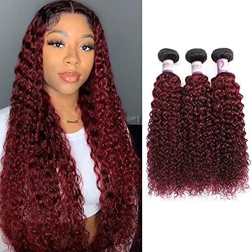 ALISFEEL Ombre Dark Red Curly Weave Human Hair 3 Bundles 99J Brazilian Curly Hair 100g/Bundles Burgundy Kinky Curly Human Hair Extensions for Black Women (18"20"22")