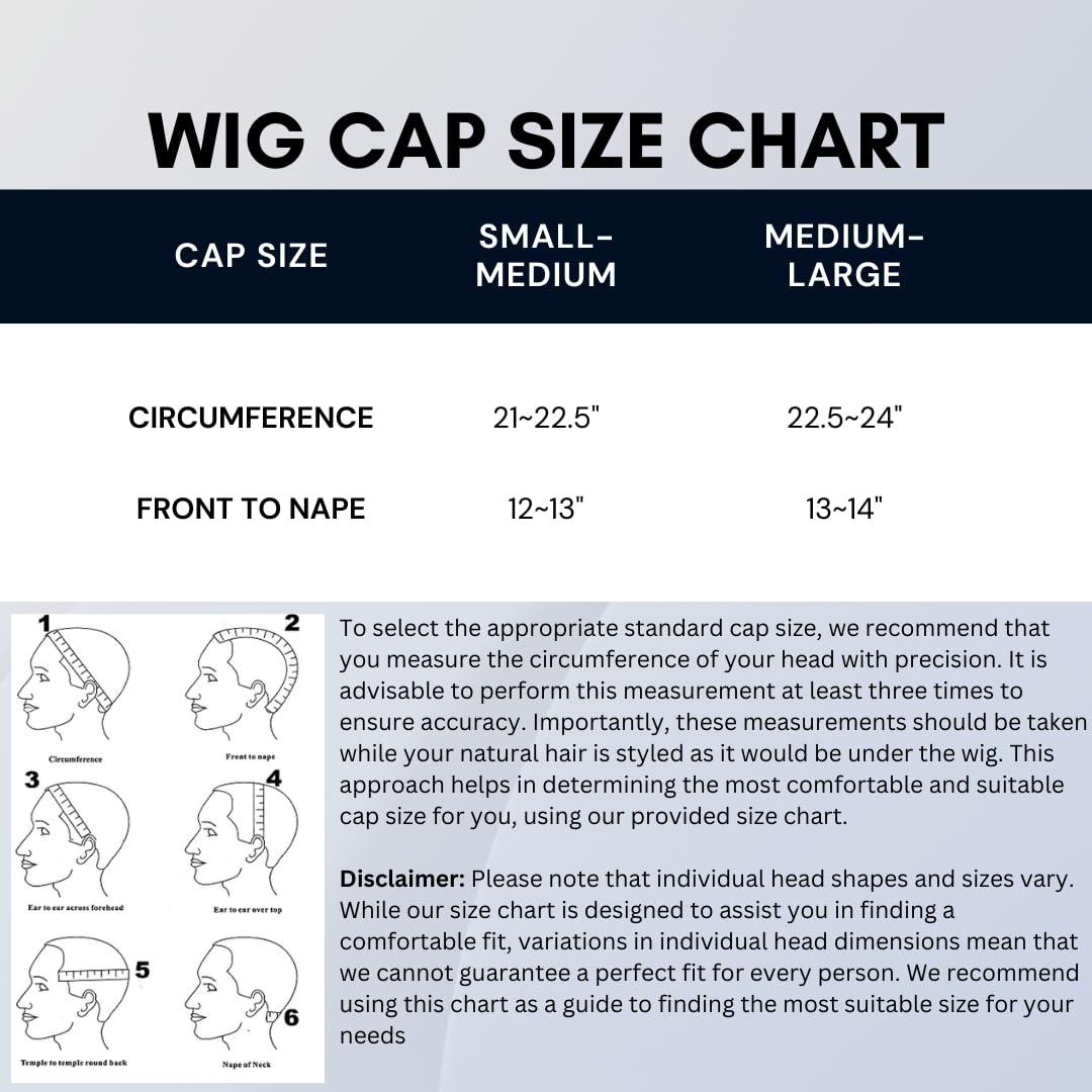 PiB PASSION IS BEAUTY PIB 24 Inch Single Full Lace Braid Wig - Micro Box Braided Wig with Peruvian Deep Wave - Knotless Braids for Black Women - Boho Style Curly Hair Wig (#T42730 Highlight Mix)