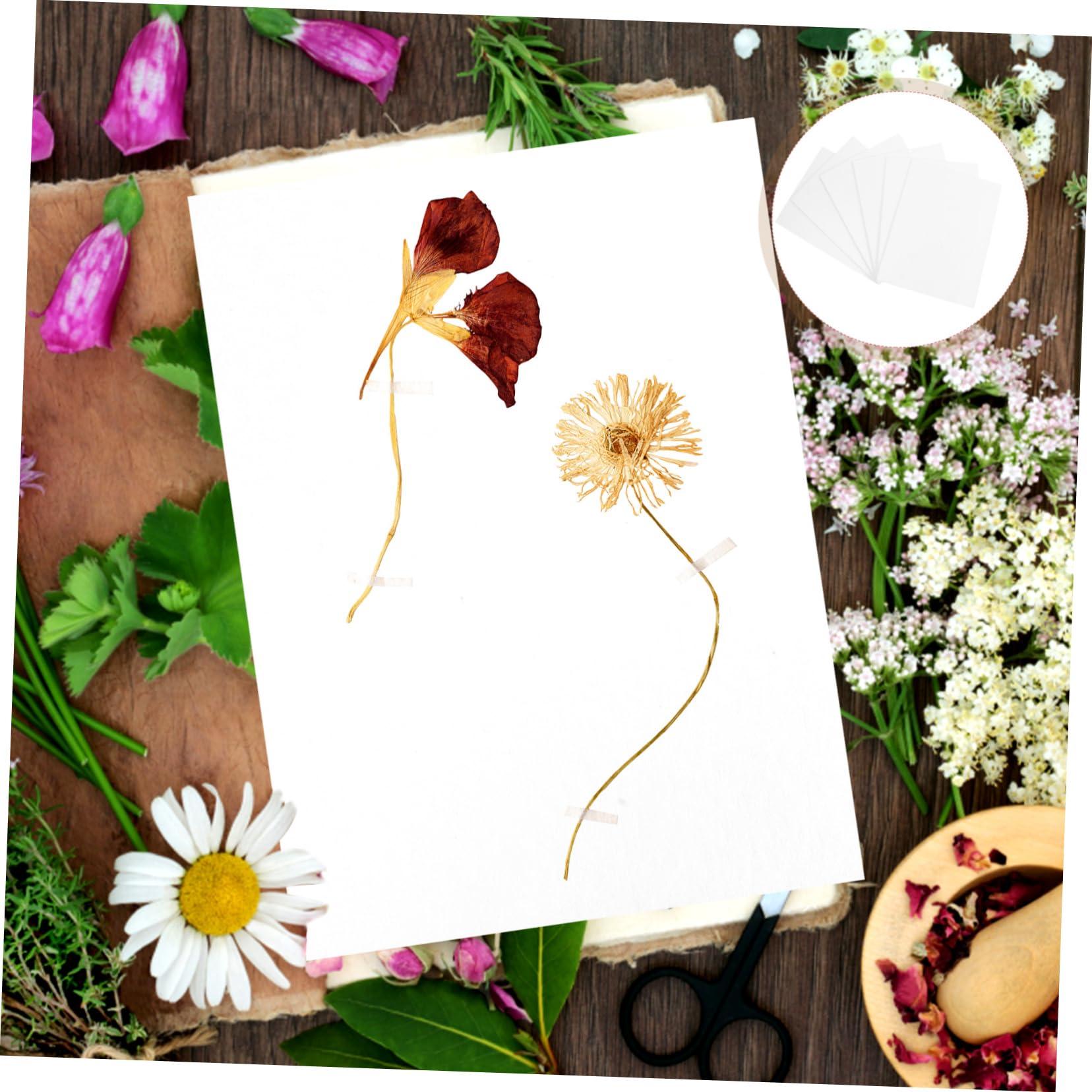 minkissy minkissy Diy Dried Flower Press Board Set 6pcs Blotter Paper Herbarium for Flower Pressing Art Craft