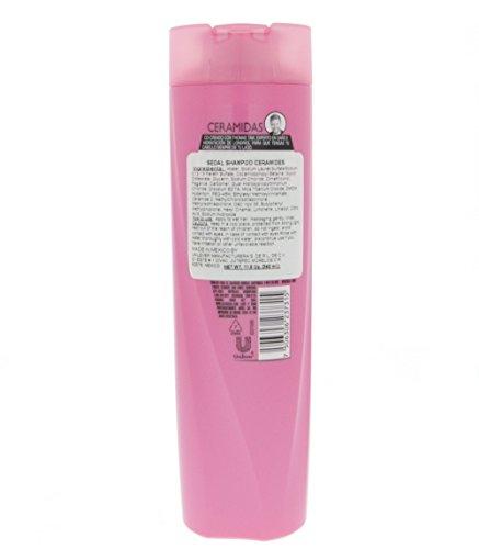 Sedal Sedal Ceramidas Shampoo 340ml - Sedal Ceramidas Champu (Pack of 6)