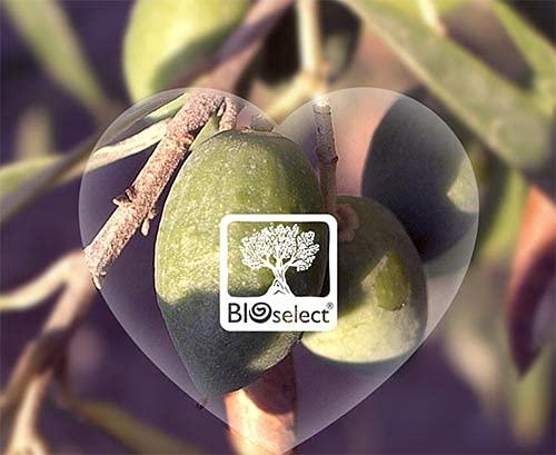 BIOselect BIOselect Natural Lifting Cream for Face and Neck (50ML)