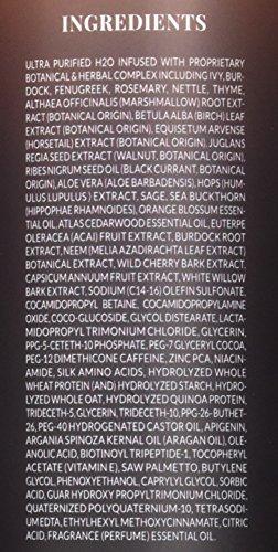 Artnaturals Artnaturals Argan Hair Regrowth Shampoo, 16 Ounce