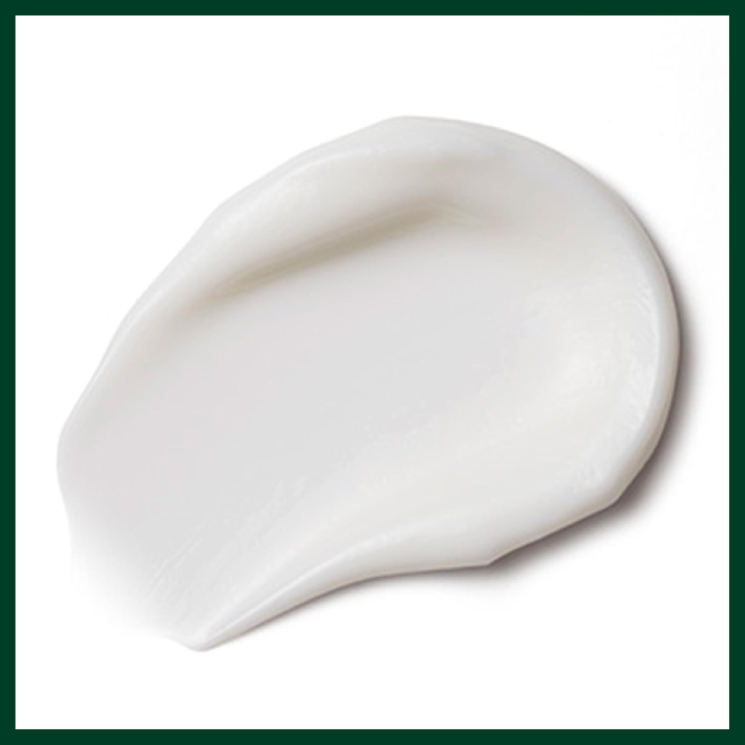 Aveda Aveda Nutriplenish Masque Light Moisture Treatment 5 fl oz/150ml