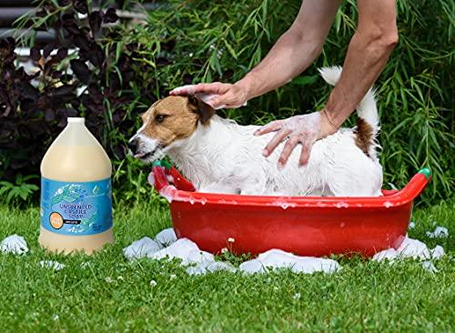 LandLSoap LandLSoap Goat Milk Unscented Pure Castile Soap Liquid for Face, Hand & Body Wash-Hand Made Soap, Vegan, Made in USA, Dry & Sensitive Skin (Half Gallon)