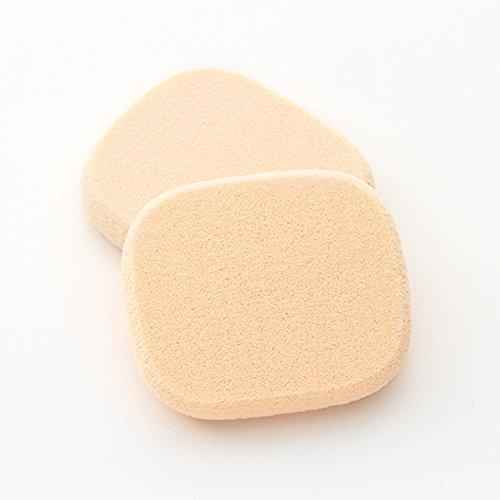 Chasty Chasty Moist Whip Sponge Compact Type 2P Shanti