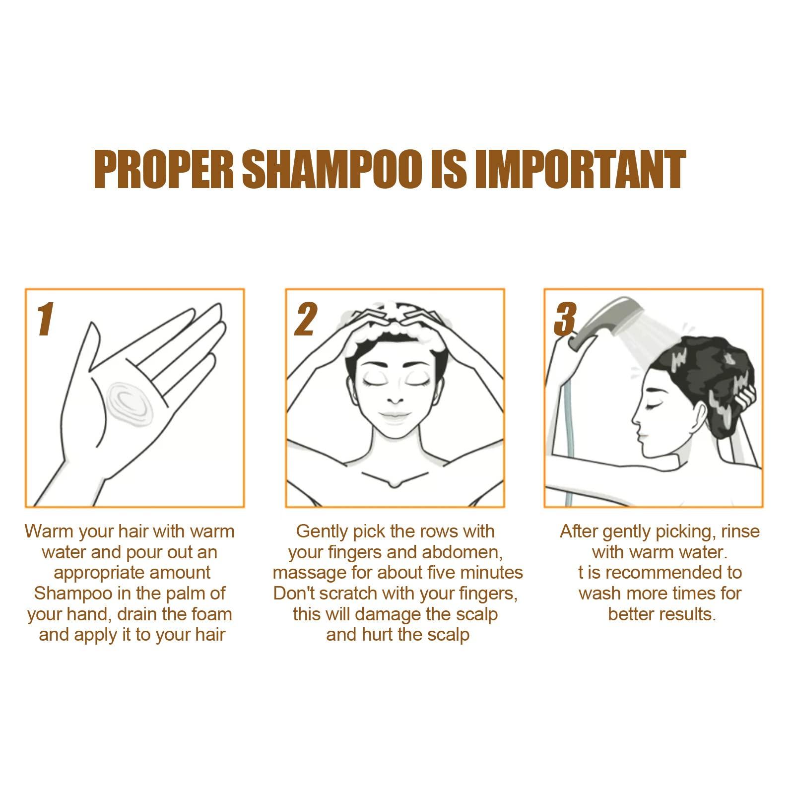 QINGTING 500ml Instant Ginger Hair Regrowth Shampoo, Ginger Shampoo, Ginger Shampoo for Hair Growth, Ginger Shampoo Hair Thickening Shampoo, Anti-Hair Loss (Shampoo)