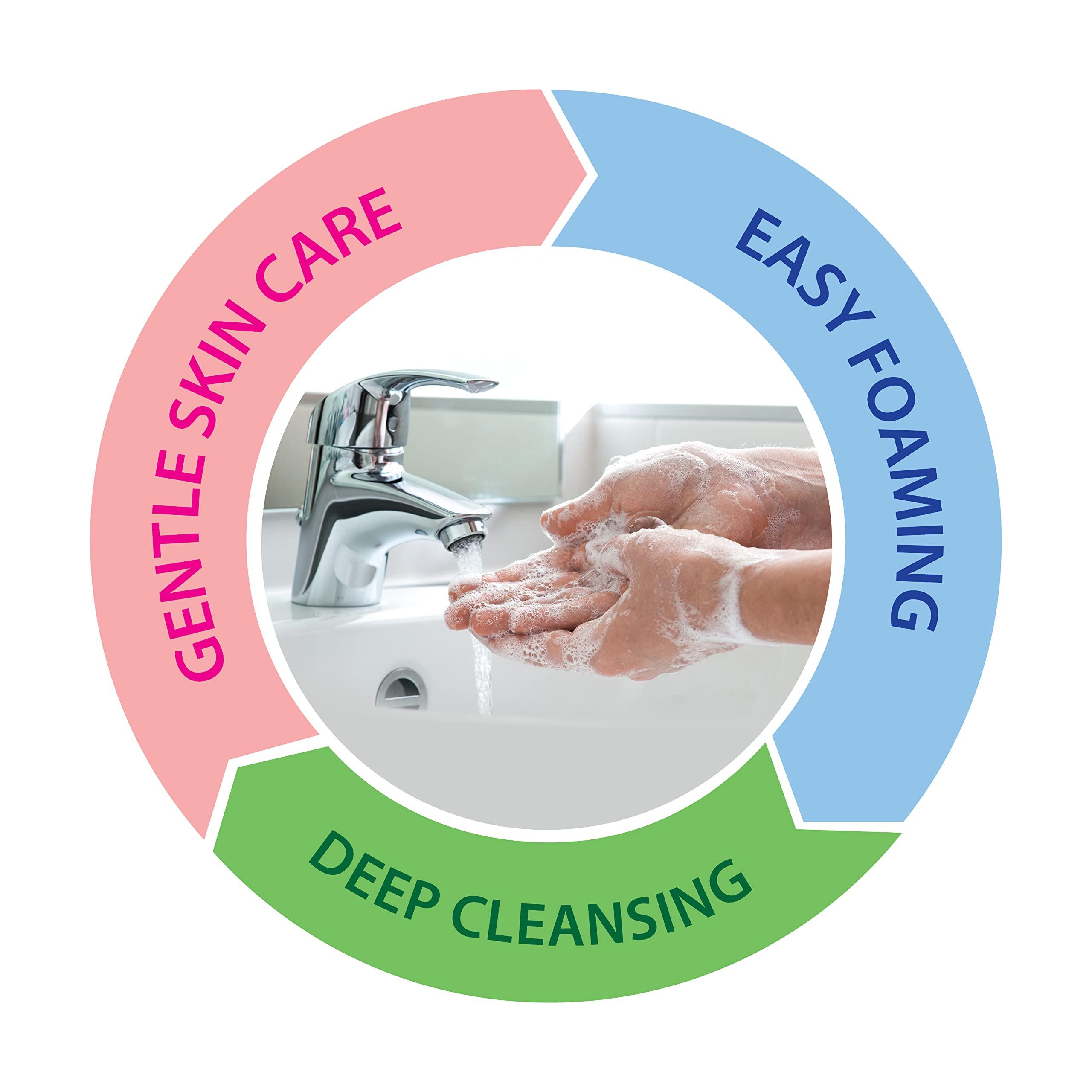 Dead Sea Collection Dead Sea Collection Hand Soap Pump Coconut - Hand Wash Liquid with Dead Sea Minerals and Coconut Oil - All Skin Types Moisturizing & Nourishing - Pack of 2 (33.8 Fl Oz Each) - 67.6 Fl Oz