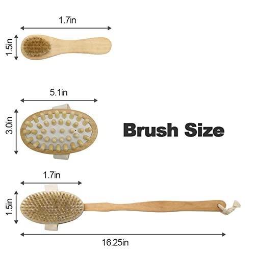 Ptvale Dry Brush for Cellulite and Lymphatic, Dry Brushing Body Brush Set Natural Boar Bristles Exfoliating Back Scrubber with Long Handle Face Brush and Cellulite Massager for Dead Skin Removing 3 PCS