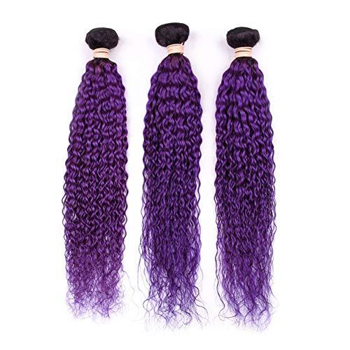 Tony beauty hair Tony Beauty Hair #1B/Purple Ombre Curly Human Hair Bundles Deals 3Pcs Lot Jerry Curly Ombre Purple Brazilian Human Hair Weave Extensions Dark Roots Double Wefts 10-30" Mixed Length (26 28 28)
