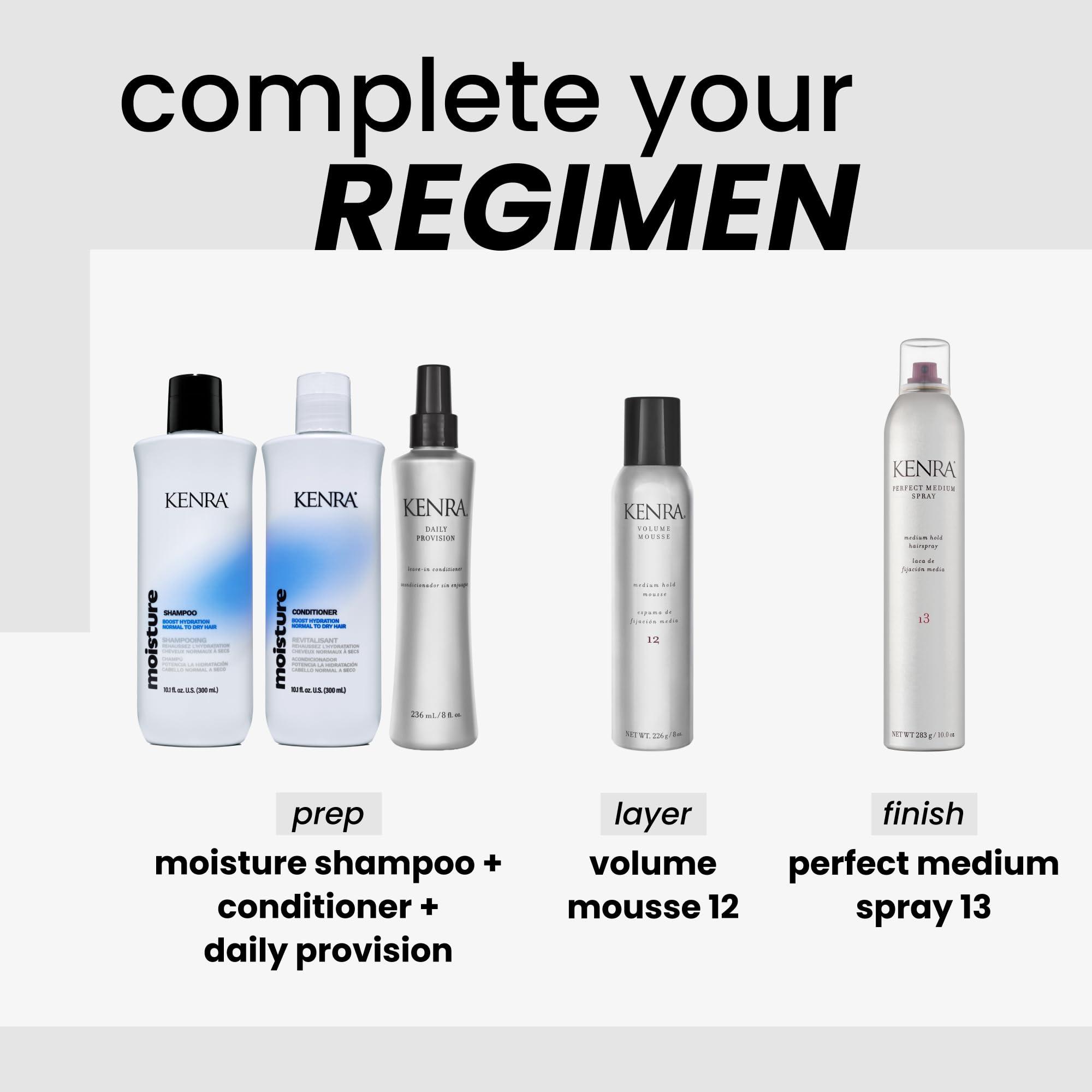 Kenra Professional Kenra Daily Provision Leave-In Conditioner | Hydrates, Detangles, & Adds Shine | Tames Frizz & Flyaways | Thermal Protection | Helps To Resist Humidity | All Hair Types | 8 fl. Oz