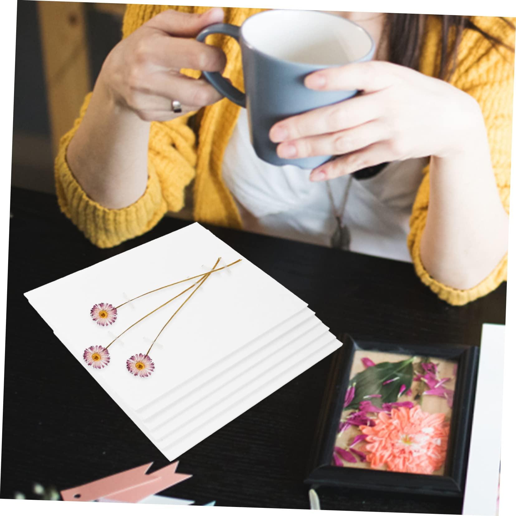 minkissy minkissy Diy Dried Flower Press Board Set 6pcs Blotter Paper Herbarium for Flower Pressing Art Craft