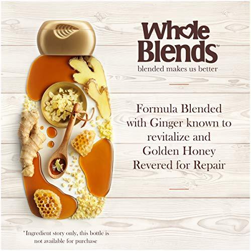 Garnier Garnier Hair Care Whole Blends Strengthening Ginger Recovery Shampoo, 12.5 Fluid Ounce