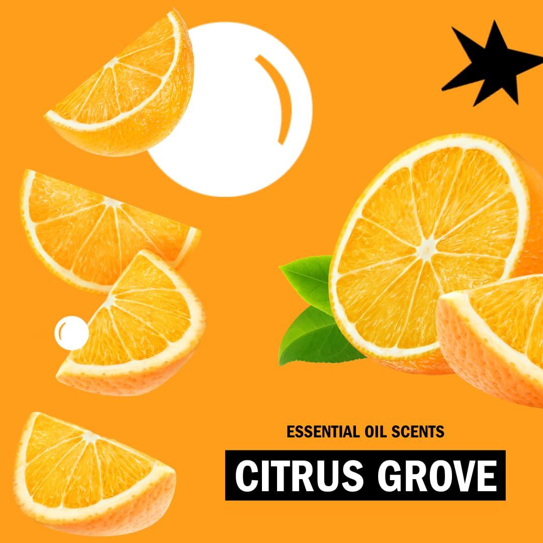 Molly\'s Suds Molly\'s Suds Foaming Hand Soap - Made with Aloe and Coconut Oil | Moisturizing Hand Wash | Clean Ingredients, Infused with Essential Oils | Citrus Grove - 8.25 Oz (Pack of 3)