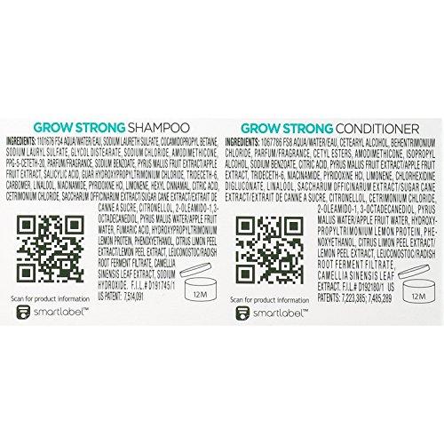 Garnier Garnier Hair Care Fructis Shampoo & Conditioner Kit, Grow Strong