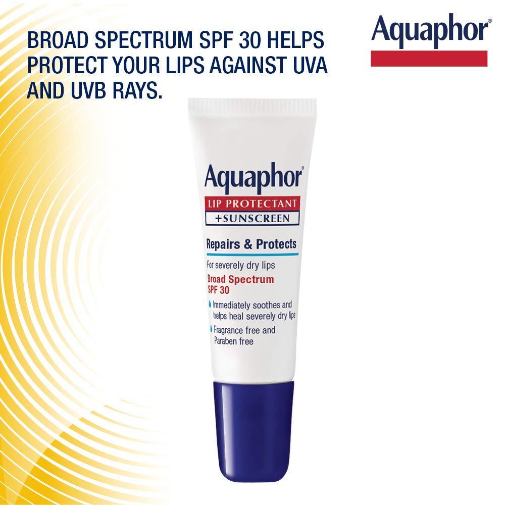 Aquaphor Aquaphor Lip Repair Lip Balm with Sunscreen, Lip Protectant, Lip Balm SPF 30, 0.35 Oz Tube (Pack of 48)