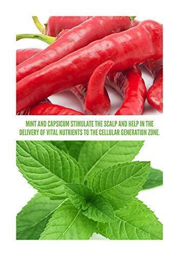 Surface Hair Surface Hair Awaken Therapeutic Shampoo, 10 Fl. Oz (Pack of 1)