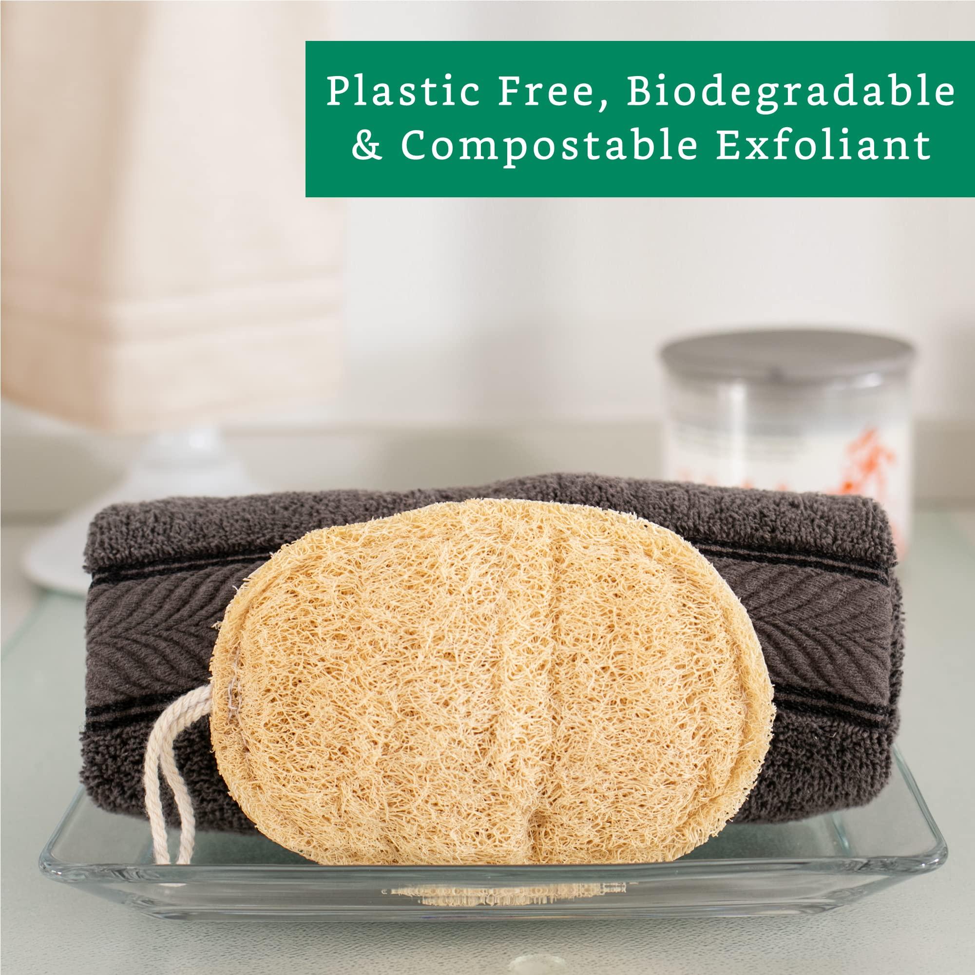 LooLife Natural Loofah Exfoliating Sponge (4 Pack) - Loofa Exfoliating Body Scrubber - Biodegradable Organic Loofah Sponge - Shower Luffa Sponges - Shower Lufa - Estropajos para el Cuerpo