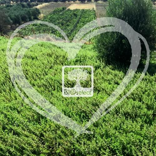 BIOselect BIOselect Anti-Ageing Hyaluronic Booster (30ML)