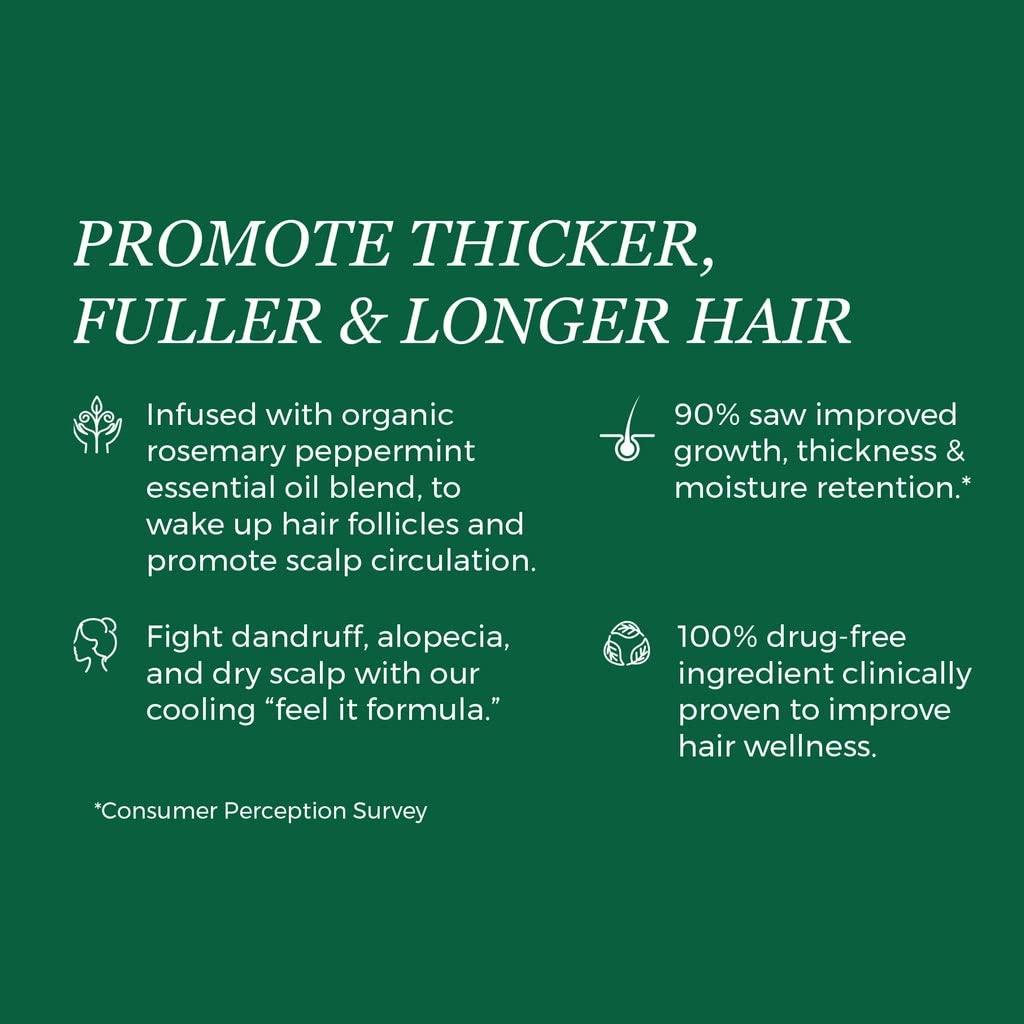 KREYL ESSENCE Kreyol Essence Haitian Black Castor Oil Rosemary Peppermint Duo, 2 fl oz and 3.4 fl oz