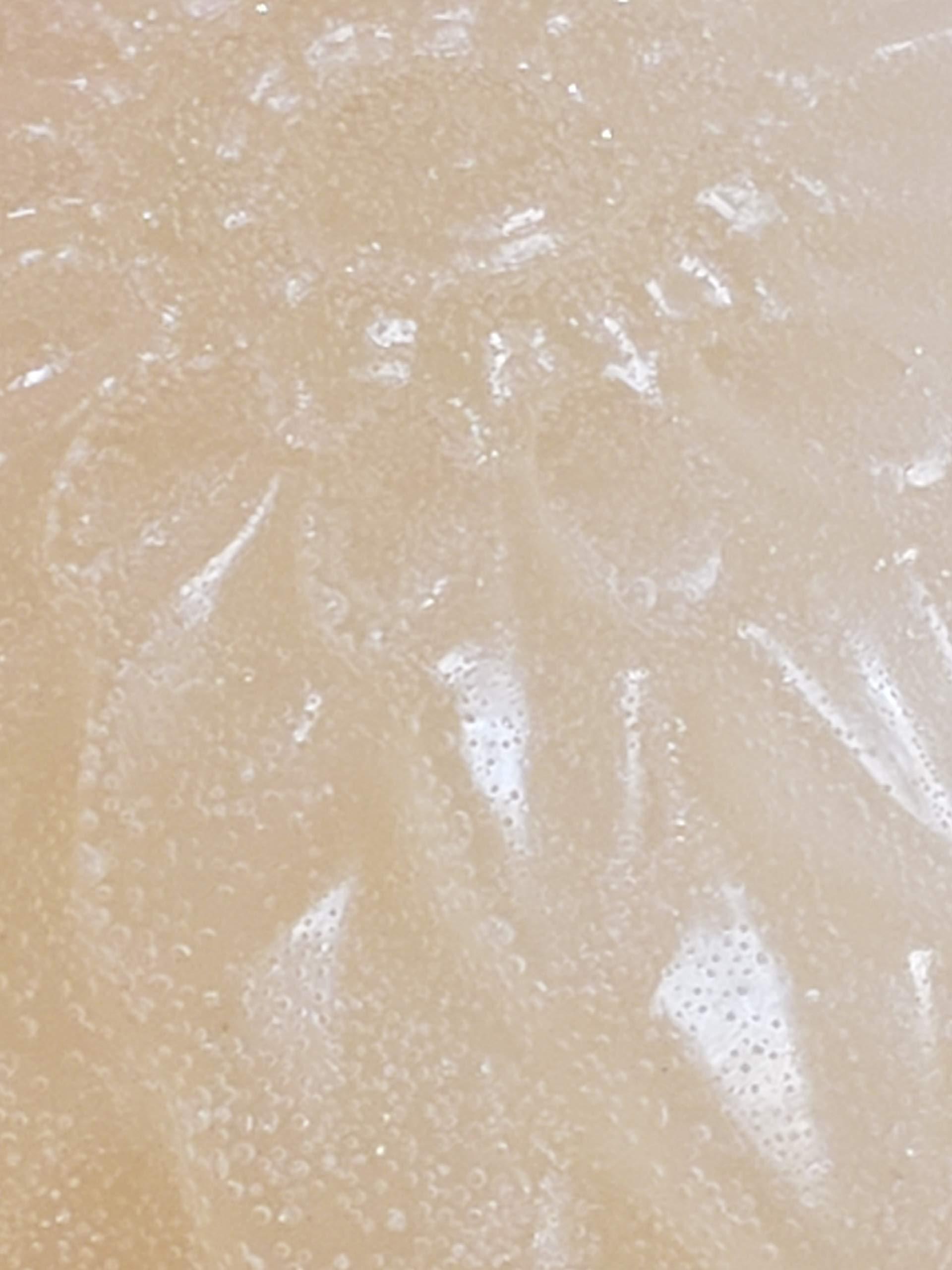 PAISLEY FARM & CRAFTS MADE FRESH FOR A HEALTHY PAISLEY FARM & CRAFTS MADE FRESH FOR A HEALTHY YOU Moringa Seed Oil Shea Butter Gylcerin Soap - All Natural! 6 Pc Value Pack