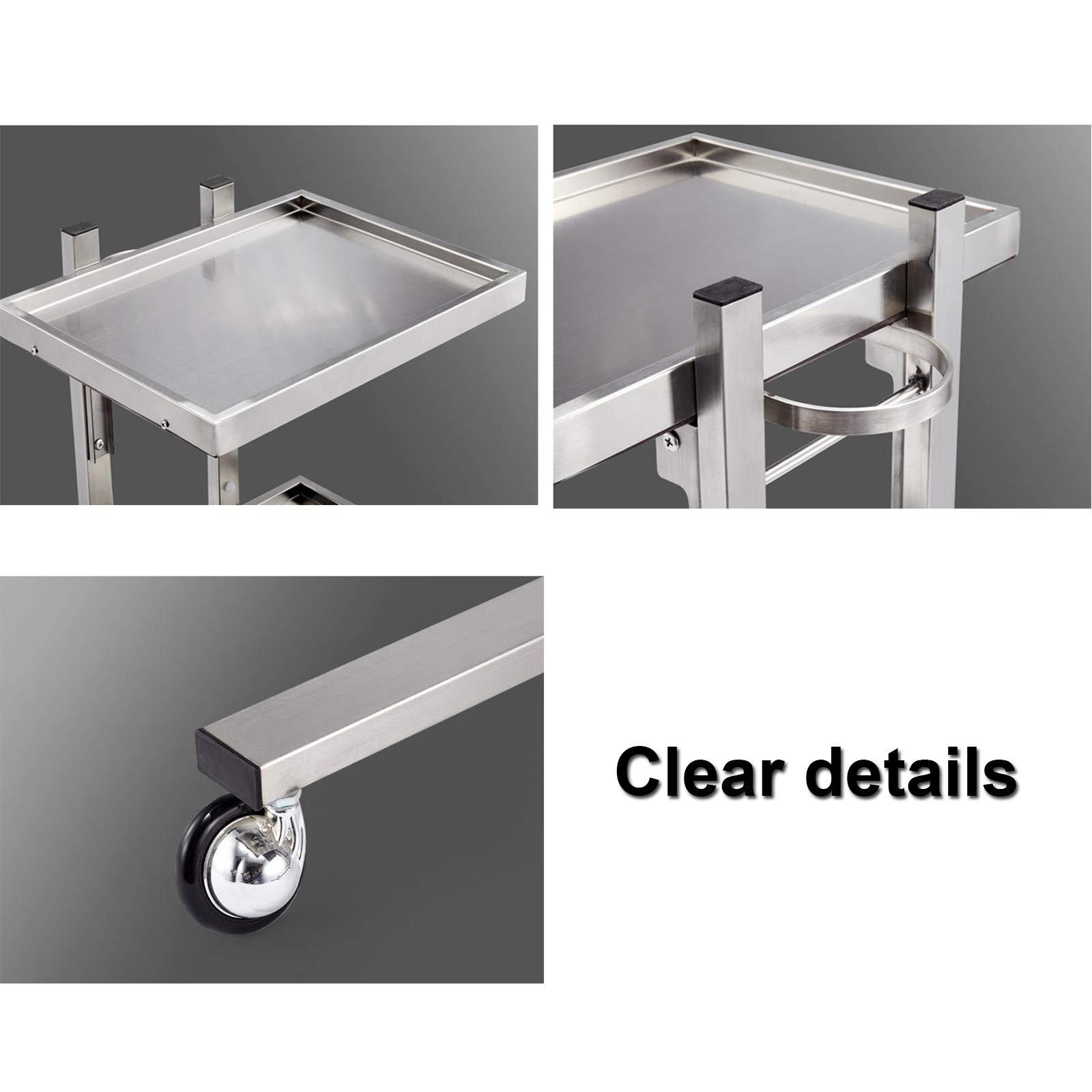 FLEAGE FLEAGE Professional Service Trolley Salon Tray Beauty Trolley, Stainless Steel Rolling Tool Cart with Double Trays, Used in Beauty Salons, Tattoos,Gold (Color : Silver)