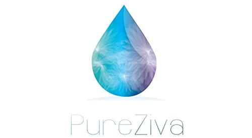 Pure Ziva Pure Zivaª Au Naturel Pink Brown Nude Natural Moisturizing Lip Cream Lipstick Color Paraben, Lanolin & Cruelty Free, No Animal Testing