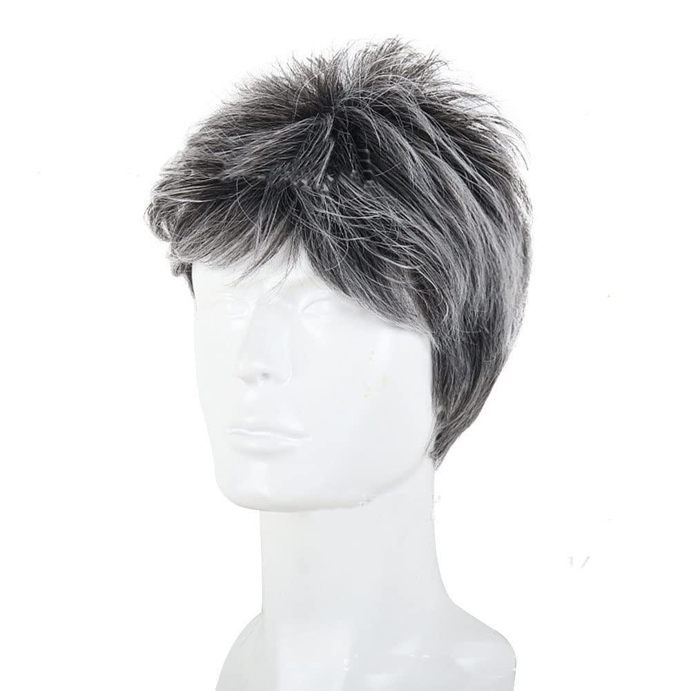 DKE&YMQ DKE&YMQ Grey Wig for Men, Fluffy and Realistic Short Hair Old Man Wig Side Parting Gentleman Men's Natural Hair Suitable for Middle-Aged and Elderly People's Daily Party Wear Christmas Banquet