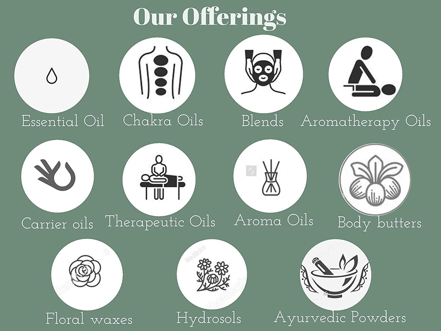 SUPREME Supreme Super X TZ Braid Pre Stretched Pre Cut Pre Combed Expression Hair for Braiding 2 Bundles in 1 Pack 48 Inches (1B)