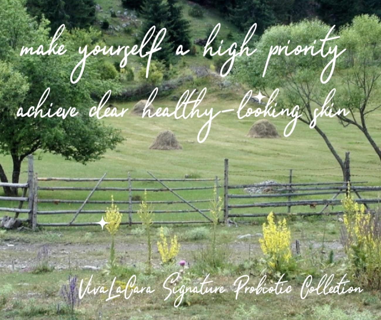 VivaLaCara Logo VivaLaCara Probiotic Day Cream - Anti Aging Face Moisturizer, Wrinkle Smoothing Cream, Dry Sensitive Skin Soothing, Skin Brightening, Skin Perfecting Formula for Mature and Problem Skin, 1.7 oz.