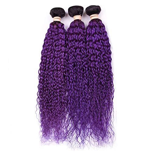 Tony beauty hair Tony Beauty Hair #1B/Purple Ombre Curly Human Hair Bundles Deals 3Pcs Lot Jerry Curly Ombre Purple Brazilian Human Hair Weave Extensions Dark Roots Double Wefts 10-30" Mixed Length (26 28 28)
